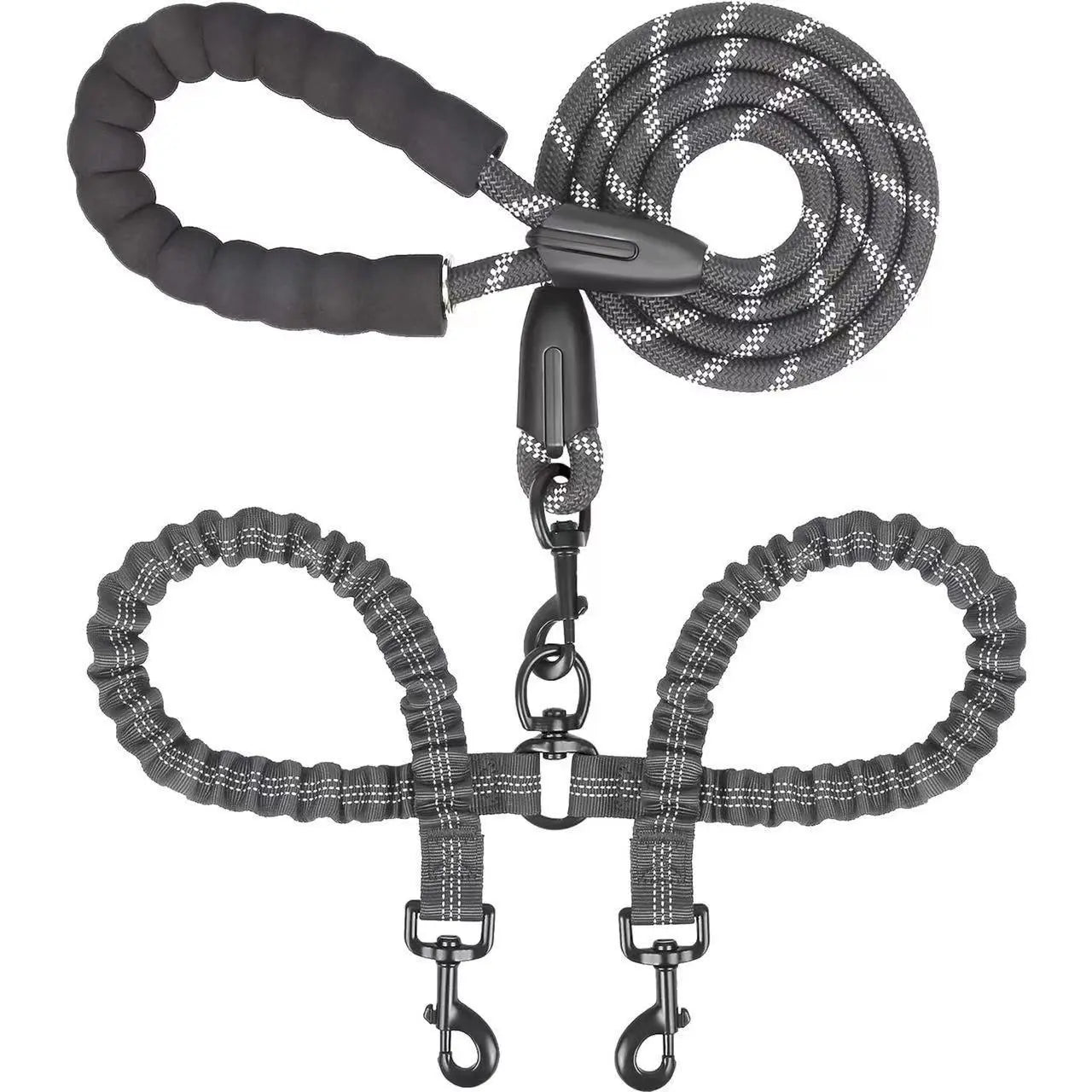 Double dog leashes