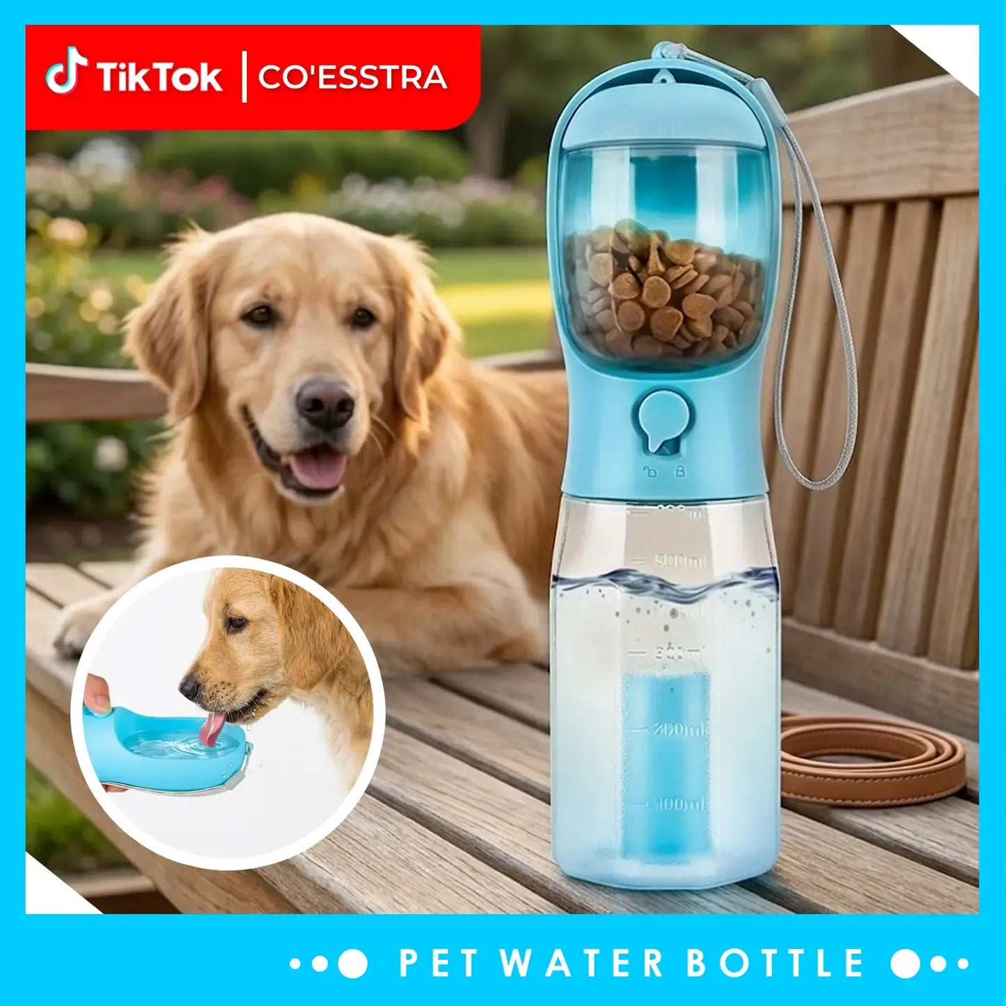 Pet water cup