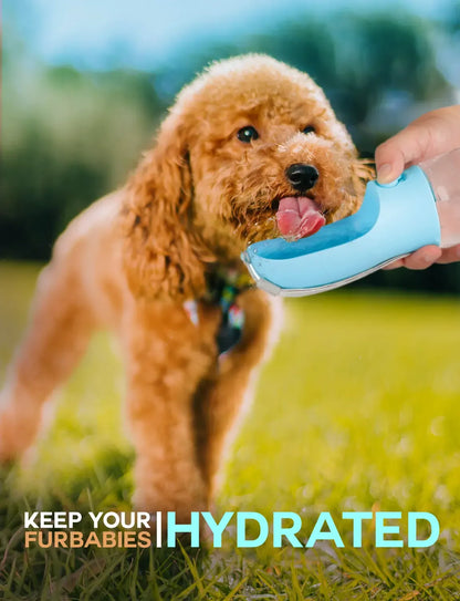 Pet water cup