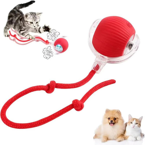 Rolling Cat Ball
