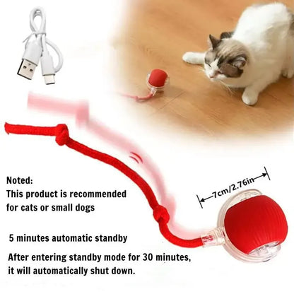 Rolling Cat Ball