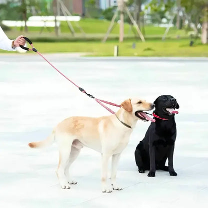 Double dog leashes