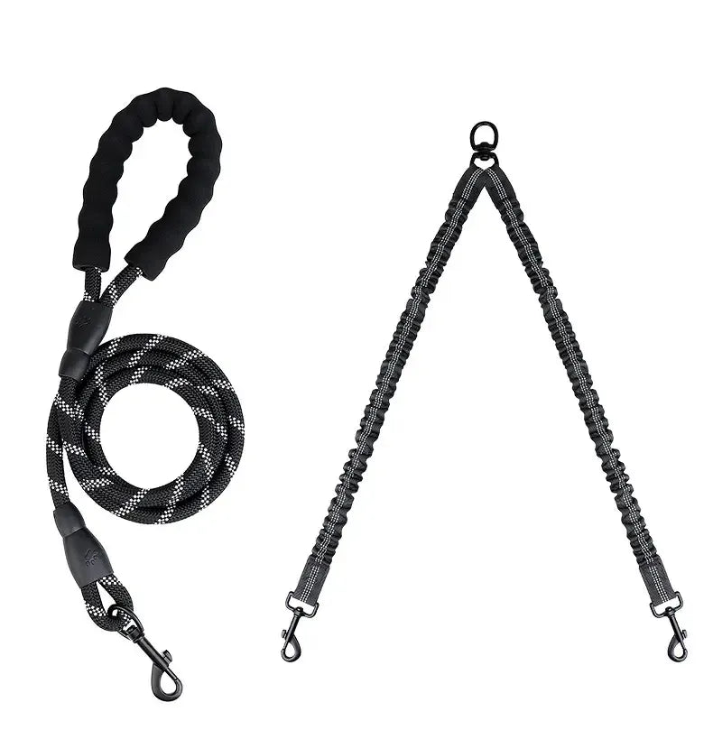 Double dog leashes