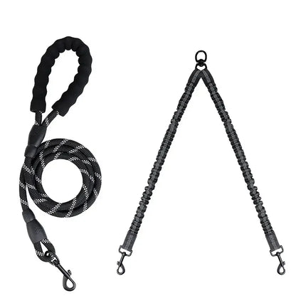 Double dog leashes