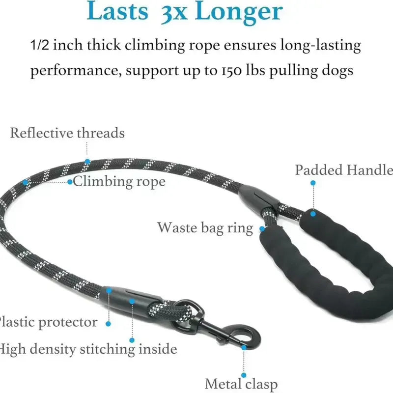 Double dog leashes