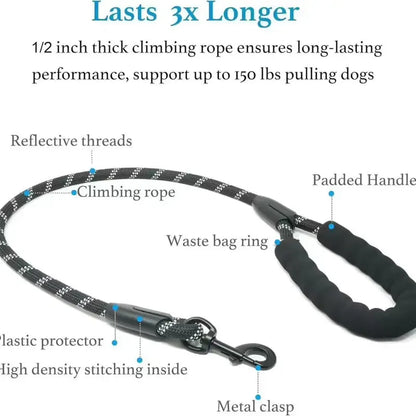 Double dog leashes