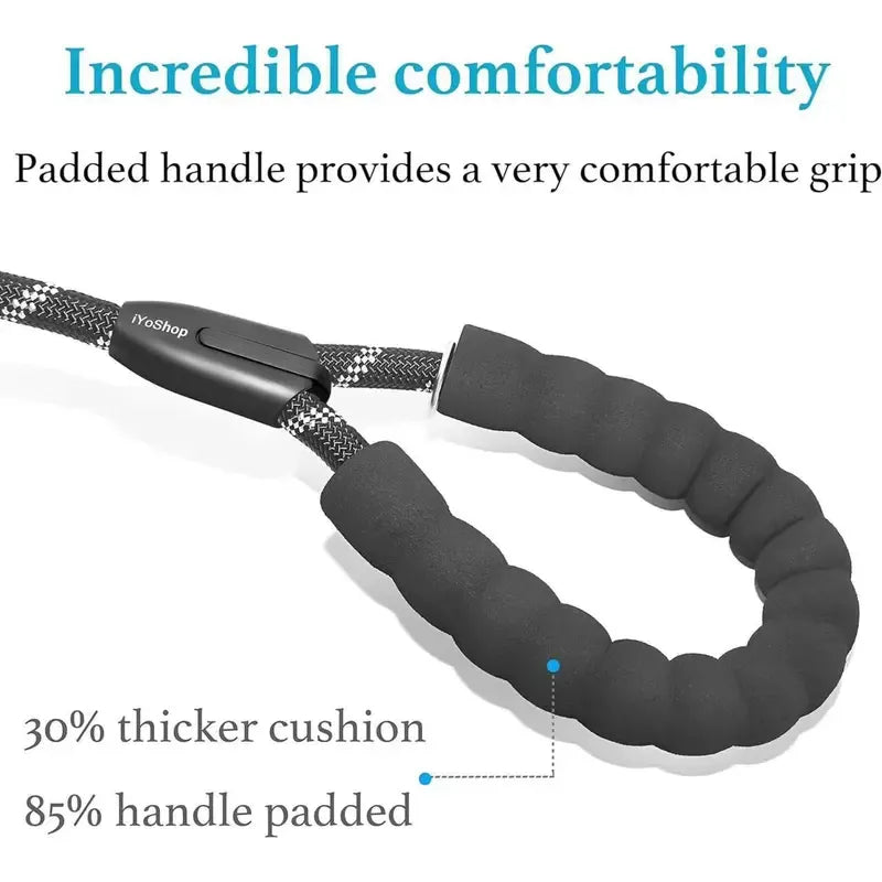 Double dog leashes
