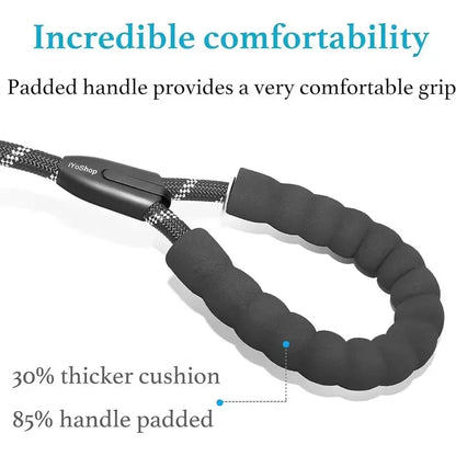 Double dog leashes