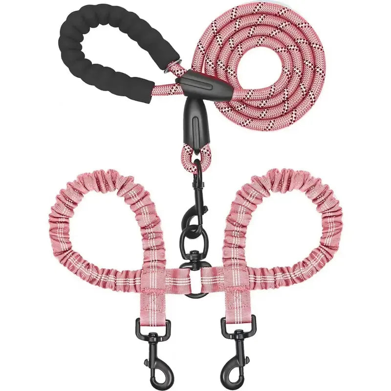 Double dog leashes