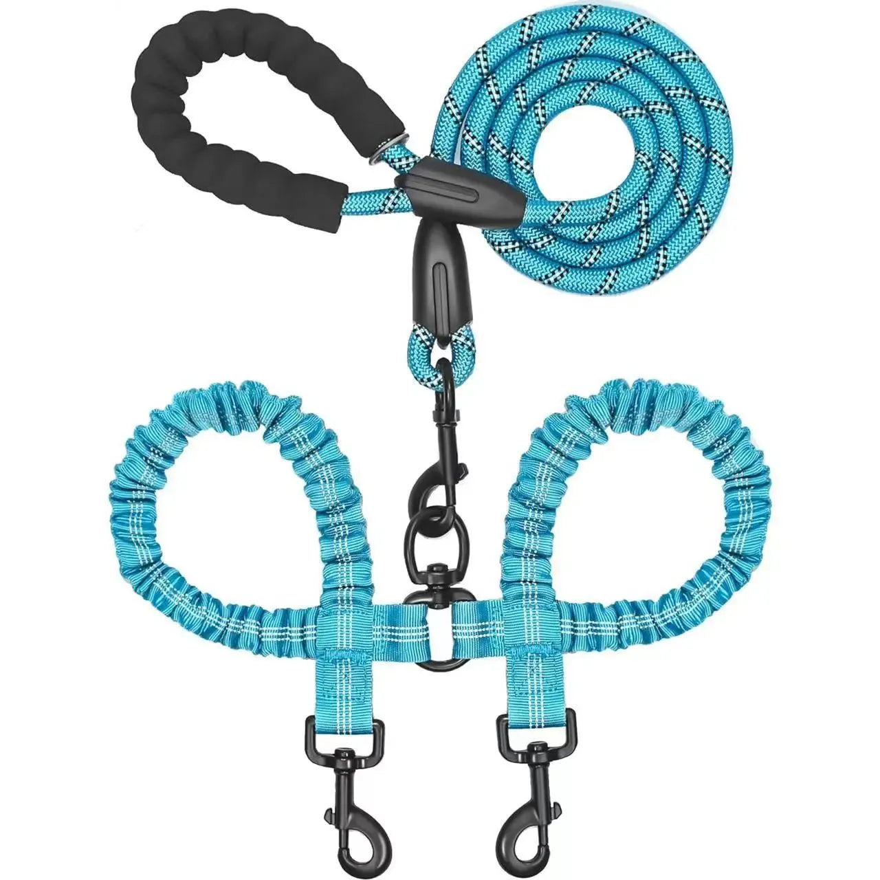 Double dog leashes