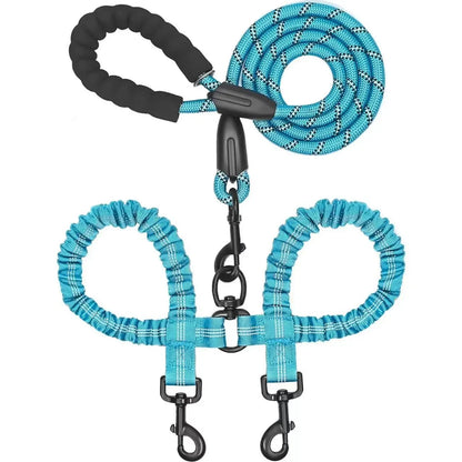 Double dog leashes