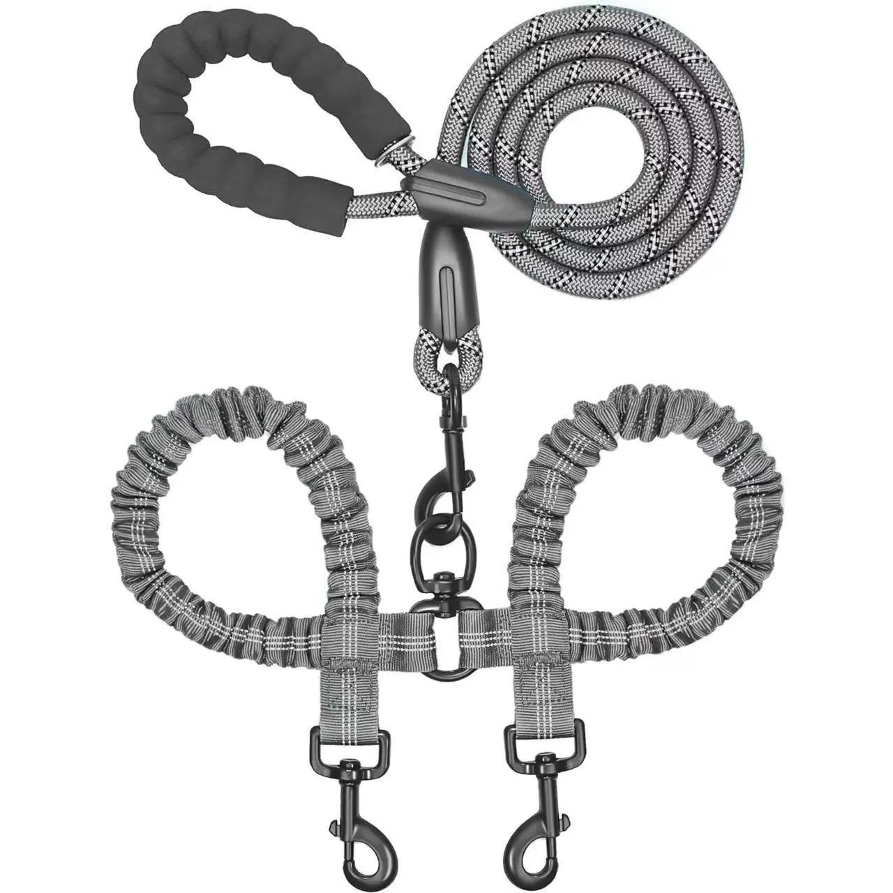 Double dog leashes