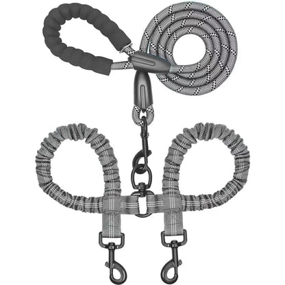 Double dog leashes