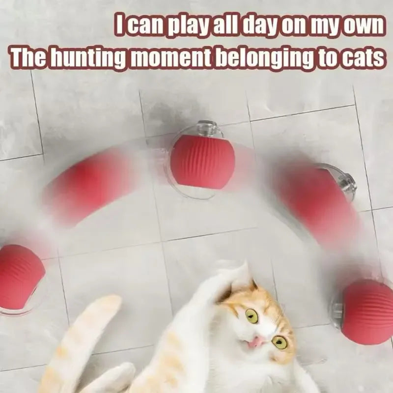 Rolling Cat Ball