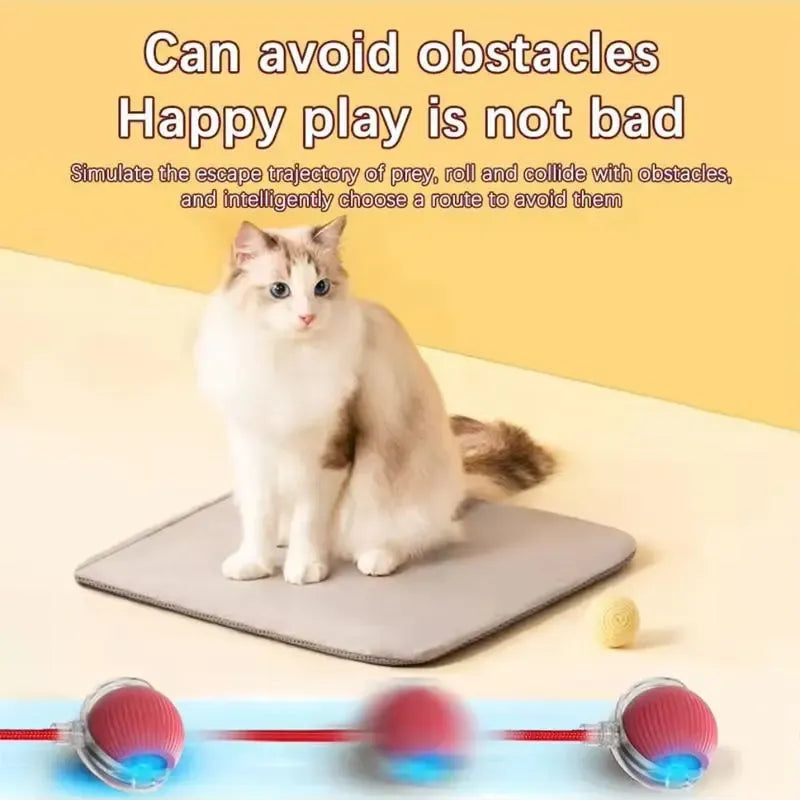 Rolling Cat Ball