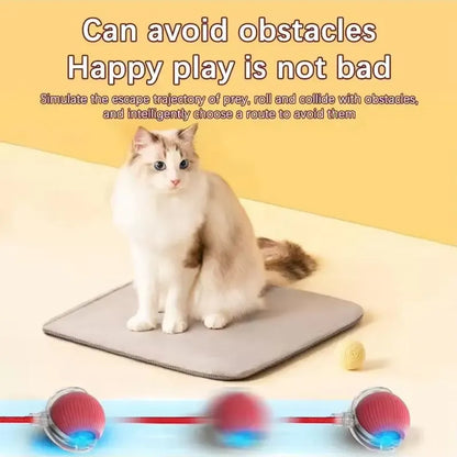 Rolling Cat Ball